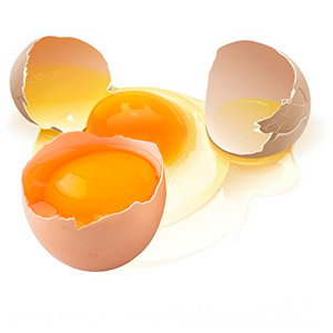 Яйца полезные продукты для организма